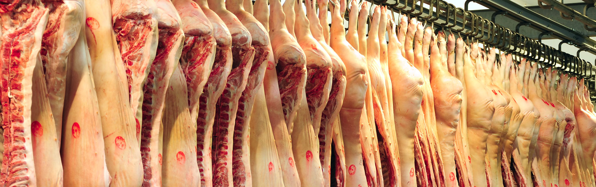 Meat curing